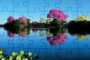 Pantanal Matogrossense jigsaw puzzle