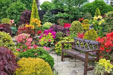 jardín 1 jigsaw puzzle
