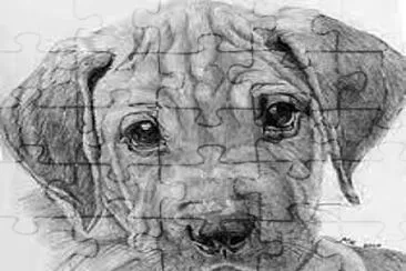 פאזל של puppy