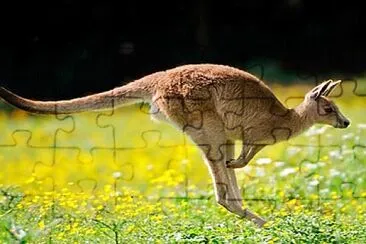 Imagem jigsaw puzzle