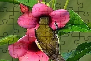 OK jigsaw puzzle