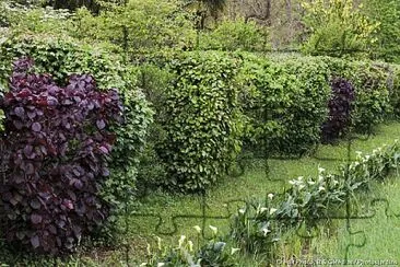 Verdure jigsaw puzzle
