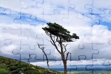 פאזל של imagem