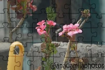 hermosas flores jigsaw puzzle