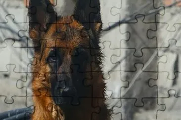 mibb jigsaw puzzle