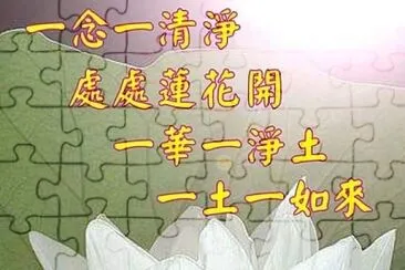 渡化 jigsaw puzzle