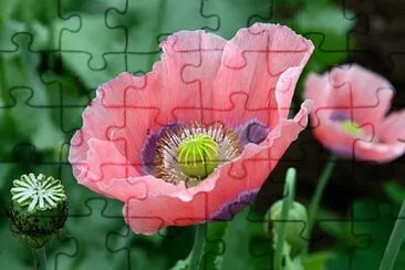 OK jigsaw puzzle