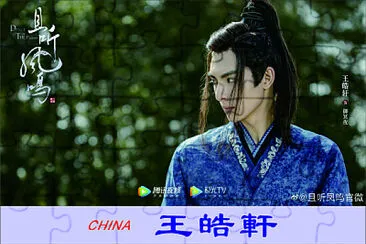 Chinese actor Wang Haoxuan jigsaw puzzle