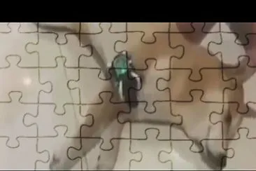 dog whit omnitrix jigsaw puzzle