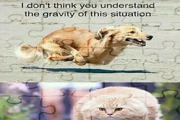 funny memes jigsaw puzzle