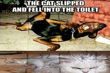 Funny animal memes jigsaw puzzle