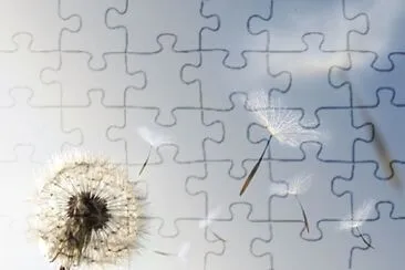 lion jigsaw puzzle