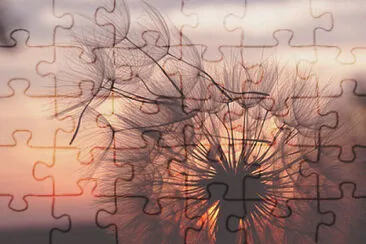 sunset leon jigsaw puzzle