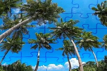פאזל של Coqueiros