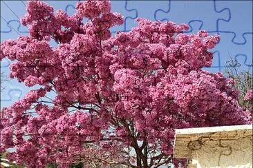 imagem jigsaw puzzle