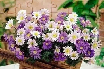 imagem jigsaw puzzle