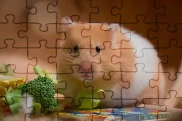 Toy jigsaw puzzle