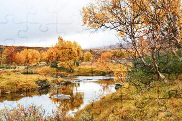 paisagem jigsaw puzzle