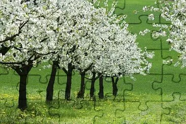 peisaj de primavara jigsaw puzzle