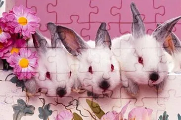 iepurasi jigsaw puzzle