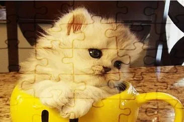 imagem jigsaw puzzle