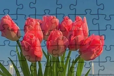 imagem jigsaw puzzle