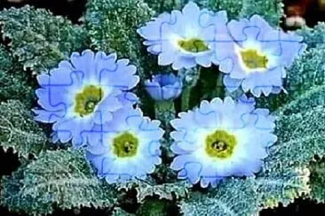 . jigsaw puzzle