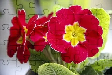 OK jigsaw puzzle
