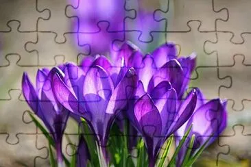 OK jigsaw puzzle