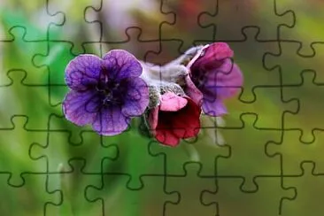 OK jigsaw puzzle