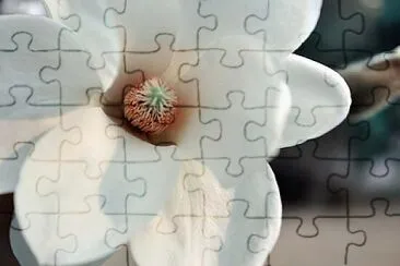 OK jigsaw puzzle