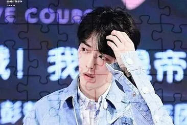 Chinese actor  Xiao Zhan jigsaw puzzle