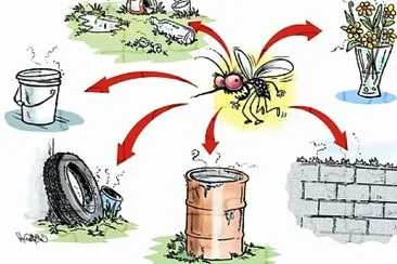 Dengue