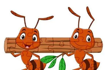 IMAGE jigsaw puzzle