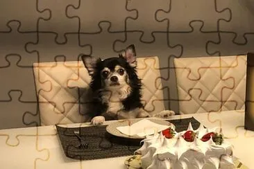 Nick comemorando 10 anos jigsaw puzzle
