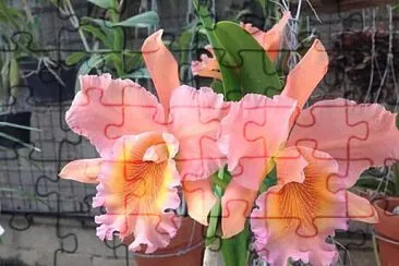 imagem jigsaw puzzle
