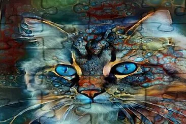 Chat aux yeux bleus