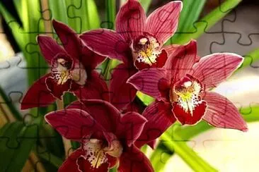 imagem jigsaw puzzle