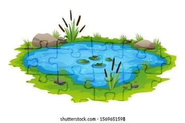 pond jigsaw puzzle