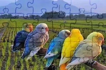 CENÁRIO K548 jigsaw puzzle