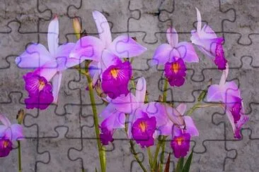 OK jigsaw puzzle