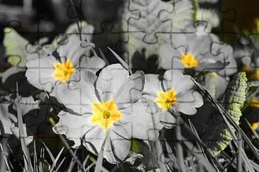 OK jigsaw puzzle