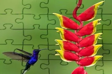 CENÁRIO K552 jigsaw puzzle