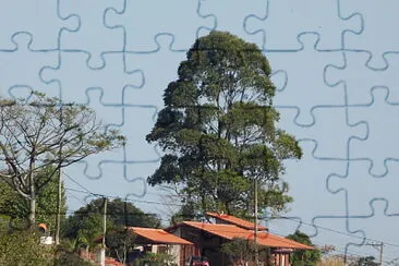 Champs Prives jigsaw puzzle