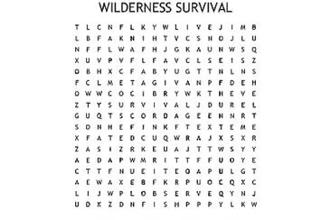 פאזל של WILDERNESS SURVIVAL