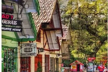 monte verde jigsaw puzzle