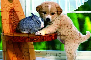 פאזל של 可愛動物