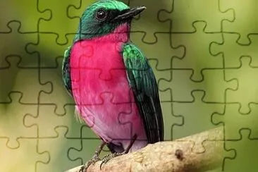 Foto jigsaw puzzle