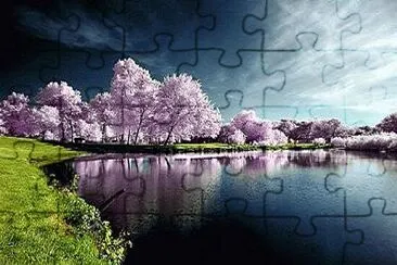 Foto jigsaw puzzle