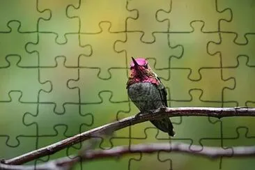 Foto jigsaw puzzle